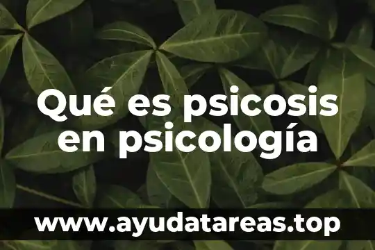 Que es idealizar psicología 6 Qué es psicosis en psicología