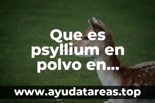 Que es psyllium en polvo en mexico