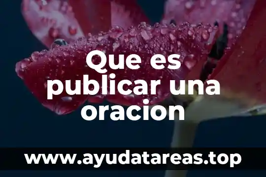 Que es la biodiversidad concepto breve 3 Que es publicar una oracion
