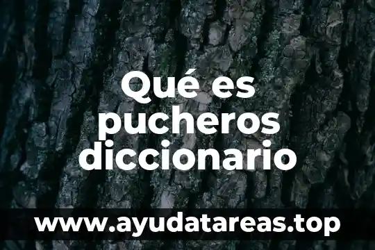 Qué es pucheros diccionario