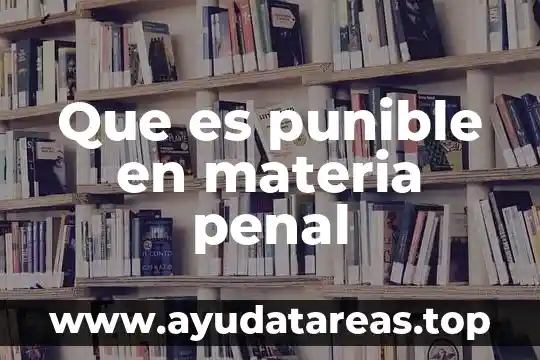 Que es el sistema de justicia penal acusatorio 3 Que es punible en materia penal