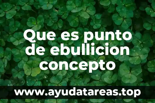 Que es punto de ebullicion concepto