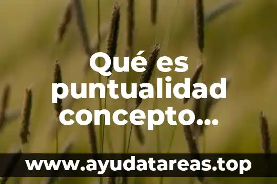 Que es manufactura concepto de 1780 5 Qué es puntualidad concepto definición