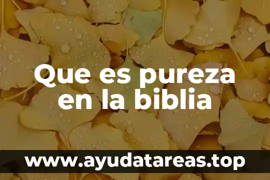 Qué es la cuarta vigilia en la biblia 4 Que es pureza en la biblia