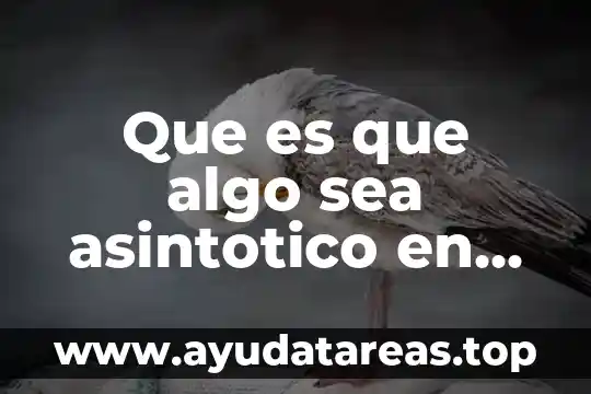 Que es que algo sea asintotico en estadistica