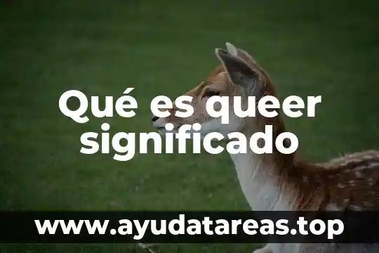 Que es un derecho significado 6 Qué es queer significado
