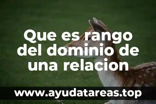 Que es ser exclusivo en una relación 5 Que es rango del dominio de una relacion