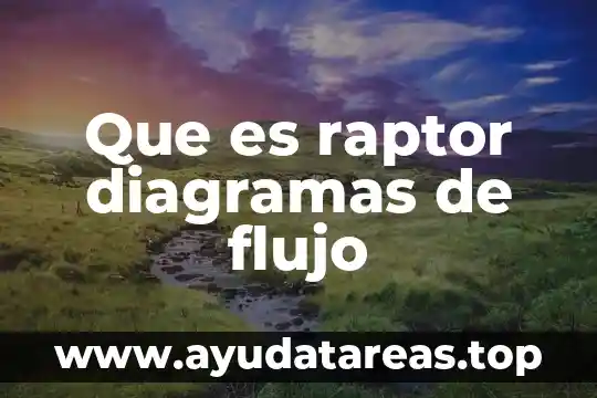 Que es raptor diagramas de flujo