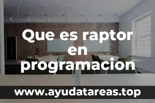 Que es raptor en programacion
