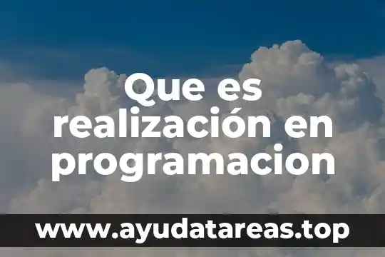 Programacion que es bandera 3 Que es realización en programacion