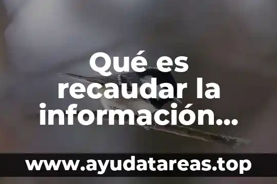 Que es aplicaciones para desarrollar demos 7 Qué es recaudar la información necesaria para desarrollar el tema