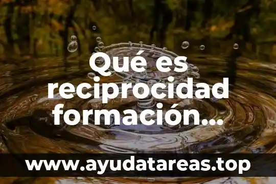 Qué es reciprocidad formación cívica y ética
