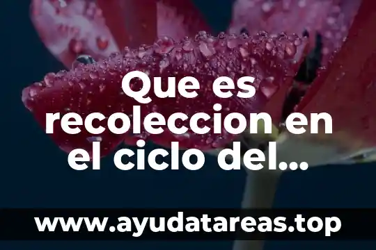 Que es la recoleccion de datos cuantitativos 8 Que es recoleccion en el ciclo del agua