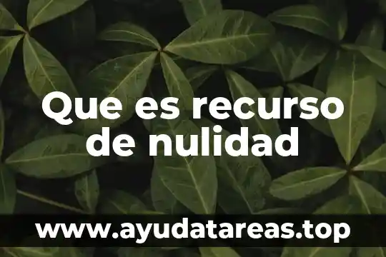 Que es recurso de nulidad