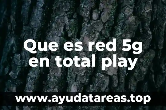 Que es red 5g en total play