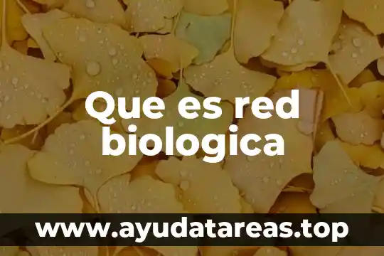 Que es competencia biologica tipos 4 Que es red biologica