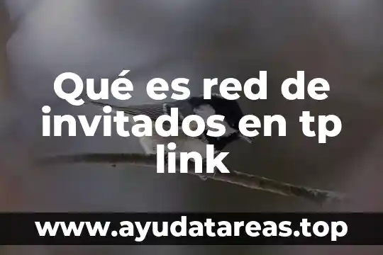 Que es nombre de la organizacion 3 Qué es red de invitados en tp link