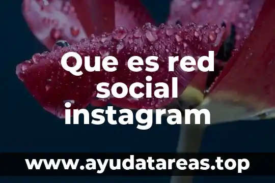 Que es el sulfito red 4 Que es red social instagram