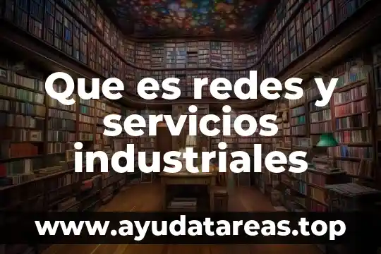 Que es redes y servicios industriales