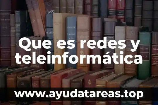 Que es redes y teleinformática