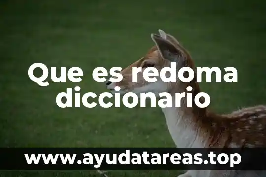 Qué es obvio significado diccionario 7 Que es redoma diccionario