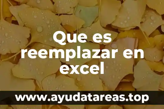 Que es reemplazar en excel