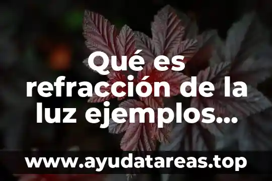 Qué es refracción de la luz ejemplos en la cotidianidad