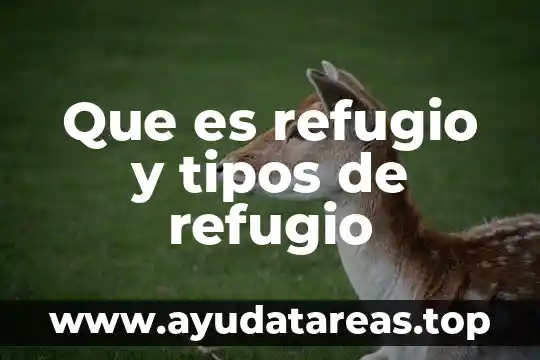 Qué es un navegador y los tipos de navegadores 5 Que es refugio y tipos de refugio