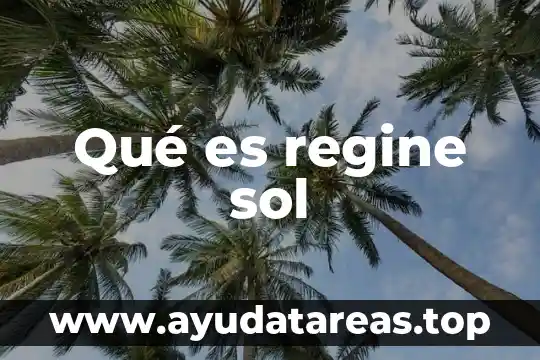 Que es asercion en logica el modelo de toulmin 3 Qué es regine sol