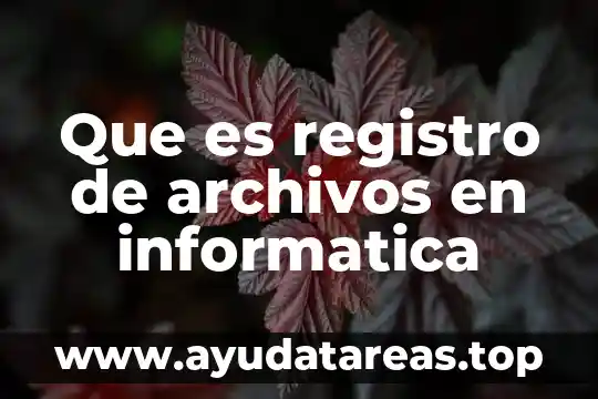 Que es registro de archivos en informatica