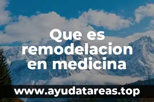 Que es estado de conciencia en medicina 3 Que es remodelacion en medicina