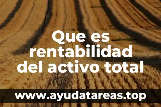 Que es rentabilidad del activo total