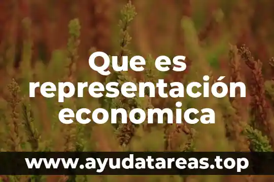 Que es reseción económica 6 Que es representación economica