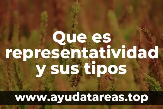 Que es representatividad y sus tipos