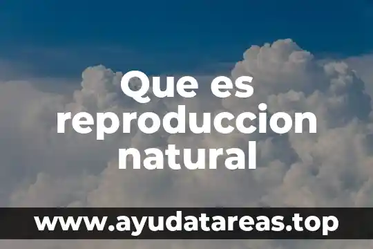 Que es reproduccion asexual tipos 4 Que es reproduccion natural