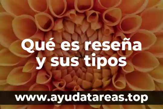 Que es la estructura de una reseña 7 Qué es reseña y sus tipos