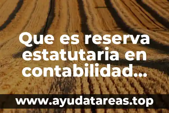 Que es un campo en la contabilidad 6 Que es reserva estatutaria en contabilidad ecuador