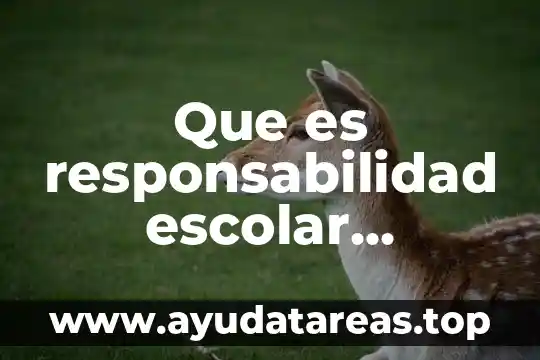 Que es responsabilidad escolar definicion