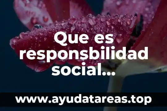 Que es un principio de intervención social 6 Que es responsbilidad social empresial