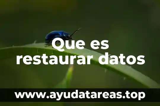 Que es restaurar datos