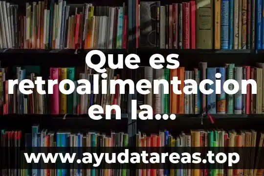 Que es retroalimentacion en la educacion