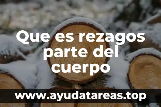 Que es la antera parte de la flor 7 Que es rezagos parte del cuerpo