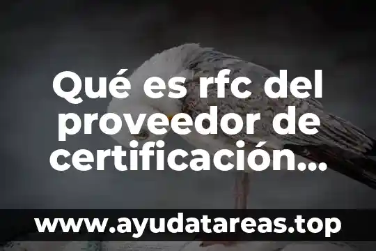 Qué es el rfc relacionado 5 Qué es rfc del proveedor de certificación varía el número
