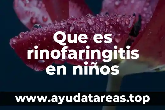 Qué es un juguete interactivo para niños 5 Que es rinofaringitis en niños