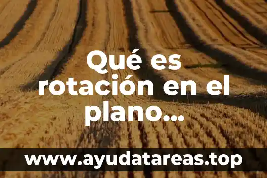 Qué es cartesiano en filosofía 3 Qué es rotación en el plano cartesiano