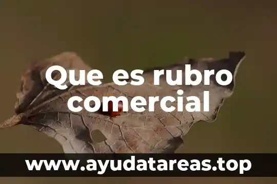 Que es rubro comercial