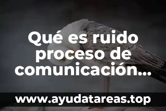 Que es la relacion señal ruido en neurociencia 8 Qué es ruido proceso de comunicación definición