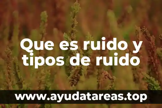 Que es la relacion señal ruido en neurociencia 7 Que es ruido y tipos de ruido