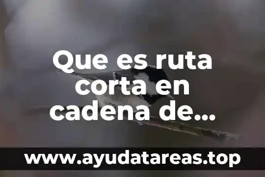 Que es ruta corta en cadena de suministro