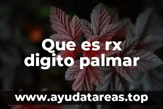 ¿Qué es dígito es sinónimo de número? 5 Que es rx digito palmar